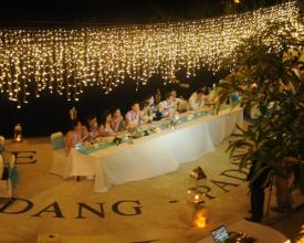 Fairy Light dinner reception