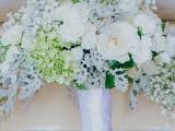 silver dust bouquet with rose silver dust plant