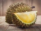 durian fruit buah durian