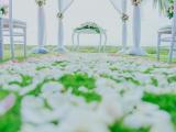 white pergola theme color white pergola theme color