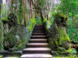 monkey forest ubud