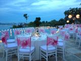 set up dinner dengan tiffany chairs 