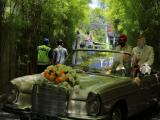 car decoration by bali florist