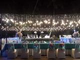 fairy light curtain 