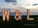 initial letter and lighting 