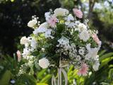 standing flower